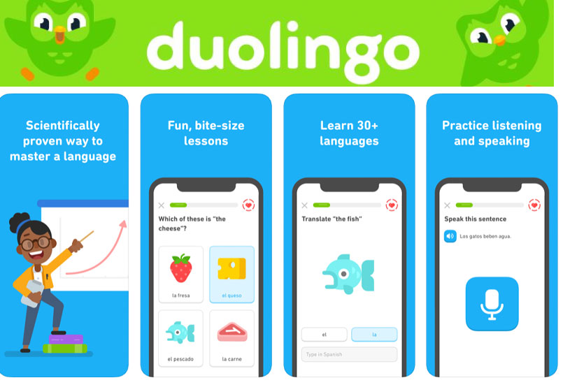 Duolingo learn. Дуолинго. Дуолинго приложение. Иконка приложения Дуолинго. Дуолинго английский язык.