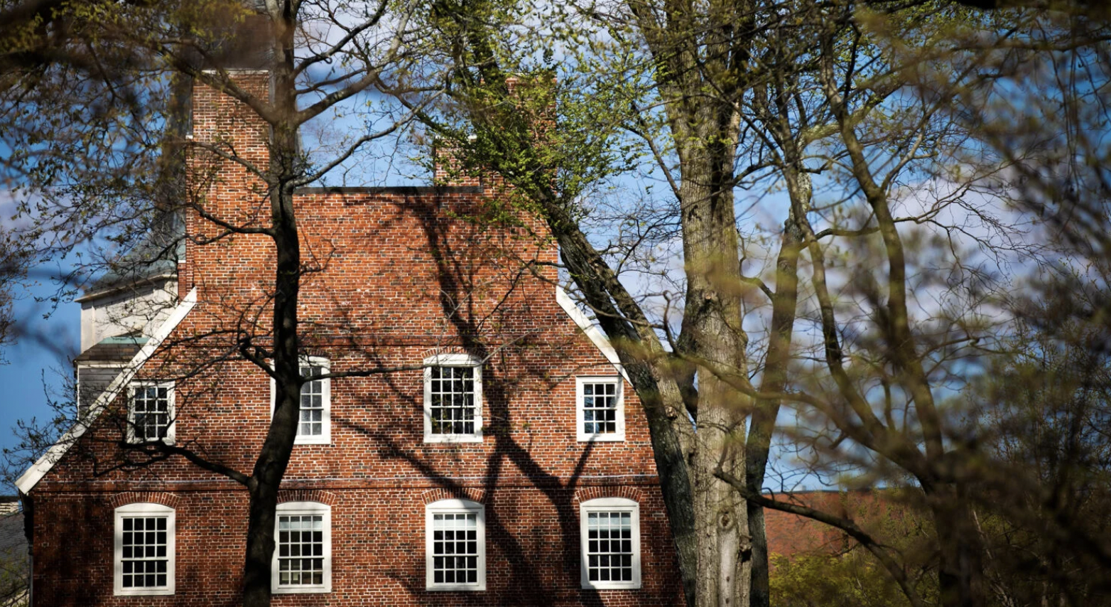 La Universidad de Harvard inicia la búsqueda de su próximo presidente