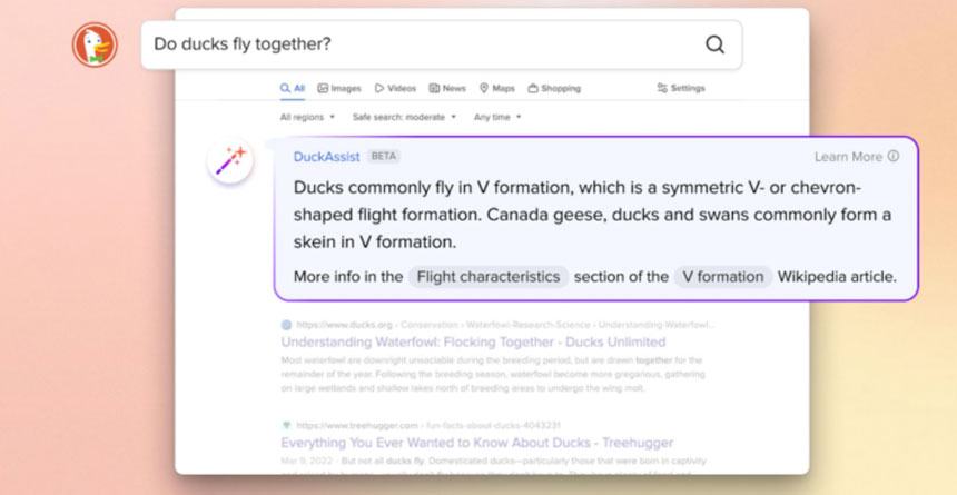 DuckDuckGo presenta una característica que resume la información utilizando IA generativa