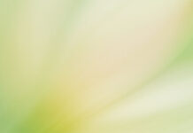 OpenAI Introduces a Mentorship Program for Entrepreneurs in an Early Stage