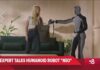 AI expert weighs in on $20K home robot ‘Neo’